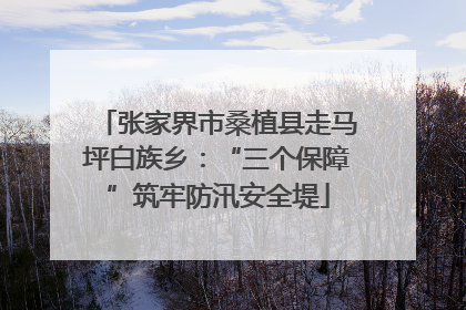 张家界市桑植县走马坪白族乡：“三个保障”筑牢防汛安全堤