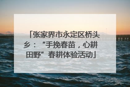 张家界市永定区桥头乡：“手挽春苗，心耕田野”春耕体验活动