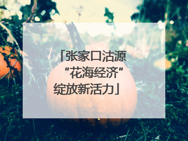 张家口沽源“花海经济”绽放新活力