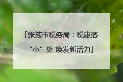张掖市税务局：税惠落“小”处 焕发新活力