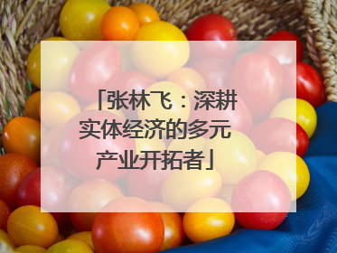 张林飞：深耕实体经济的多元产业开拓者