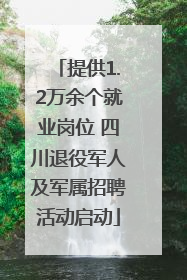 提供1.2万余个就业岗位 四川退役军人及军属招聘活动启动