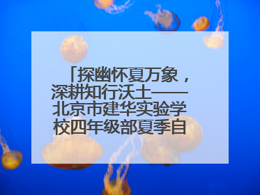 探幽怀夏万象，深耕知行沃土——北京市建华实验学校四年级部夏季自然空间课程纪实