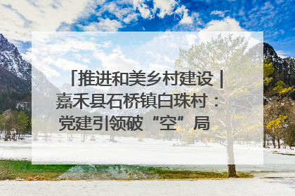 推进和美乡村建设｜嘉禾县石桥镇白珠村：党建引领破“空”局 乡贤聚力绘就新图景