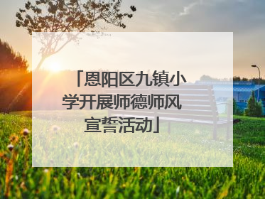 恩阳区九镇小学开展师德师风宣誓活动