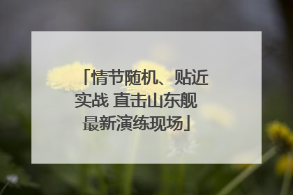 情节随机、贴近实战 直击山东舰最新演练现场