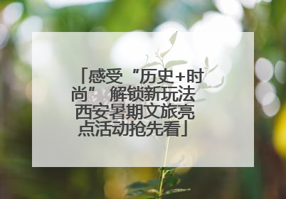 感受“历史+时尚” 解锁新玩法 西安暑期文旅亮点活动抢先看