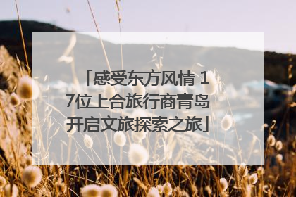感受东方风情 17位上合旅行商青岛开启文旅探索之旅