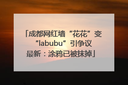 成都网红墙“花花”变“labubu”引争议 最新：涂鸦已被抹掉