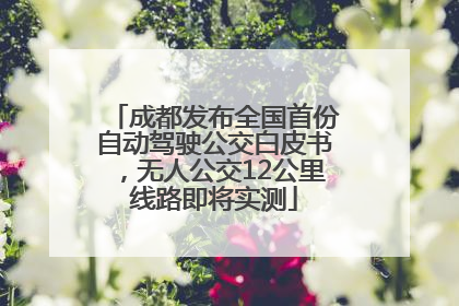 成都发布全国首份自动驾驶公交白皮书，无人公交12公里线路即将实测