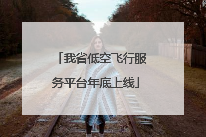 我省低空飞行服务平台年底上线