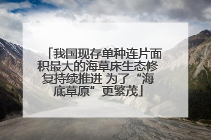 我国现存单种连片面积最大的海草床生态修复持续推进 为了“海底草原”更繁茂