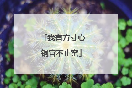 我有方寸心 铜官不止窑