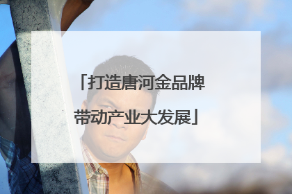 打造唐河金品牌 带动产业大发展