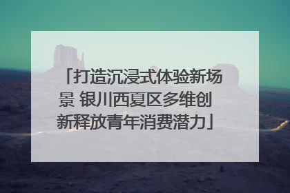 打造沉浸式体验新场景 银川西夏区多维创新释放青年消费潜力