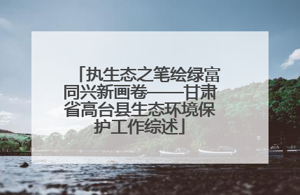 执生态之笔绘绿富同兴新画卷——甘肃省高台县生态环境保护工作综述