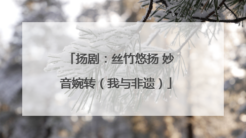 扬剧：丝竹悠扬 妙音婉转（我与非遗）