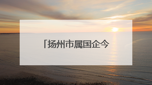 扬州市属国企今年以来稳投资保民生促发展，“压舱石”作用凸显