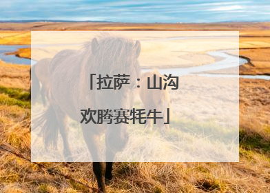 拉萨：山沟欢腾赛牦牛