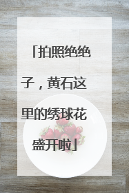 拍照绝绝子，黄石这里的绣球花盛开啦