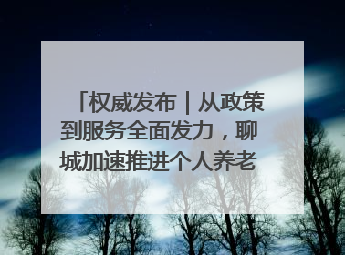 权威发布｜从政策到服务全面发力，聊城加速推进个人养老金制度落地