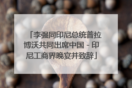 李强同印尼总统普拉博沃共同出席中国－印尼工商界晚宴并致辞