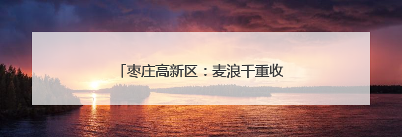 枣庄高新区：麦浪千重收割忙 多措并举保丰收