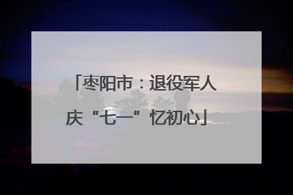 枣阳市：退役军人庆“七一”忆初心