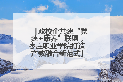政校企共建“党建+康养”联盟，枣庄职业学院打造产教融合新范式