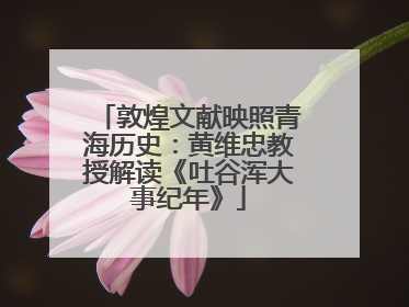 敦煌文献映照青海历史：黄维忠教授解读《吐谷浑大事纪年》