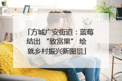 方城广安街道：蓝莓结出 “致富果” 绘就乡村振兴新图景