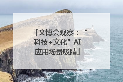 文博会观察：“科技+文化”AI应用场景吸睛