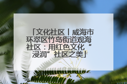 文化社区丨威海市环翠区竹岛街道观海社区：用红色文化“浸润”社区之美