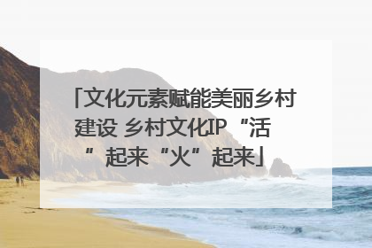 文化元素赋能美丽乡村建设 乡村文化IP“活”起来“火”起来