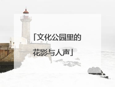 文化公园里的花影与人声