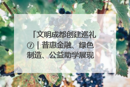 文明成都创建巡礼⑦｜普惠金融、绿色制造、公益助学展现城市文明底色
