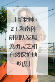 新物种+2！海南科研团队发现素贞灵芝和自然保护地壁虎