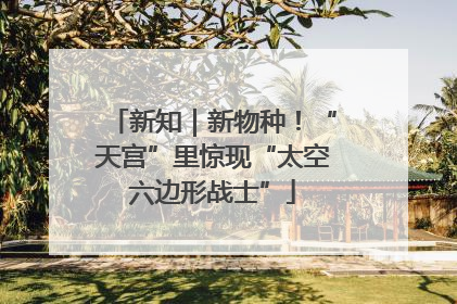 新知｜新物种！“天宫”里惊现“太空六边形战士”