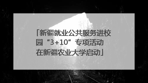 新疆就业公共服务进校园“3+10”专项活动在新疆农业大学启动