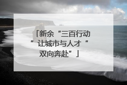 新余“三百行动”让城市与人才“双向奔赴”