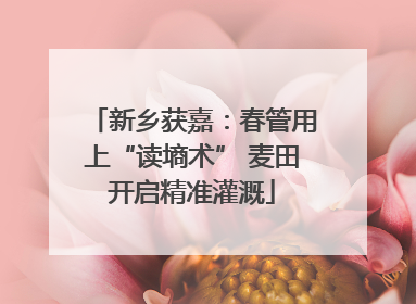 新乡获嘉：春管用上“读墒术” 麦田开启精准灌溉