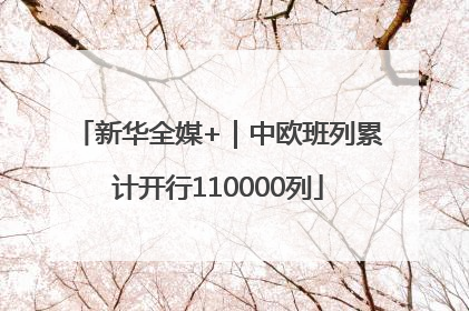 新华全媒+｜中欧班列累计开行110000列