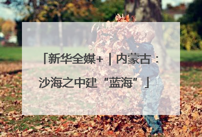 新华全媒+｜内蒙古：沙海之中建“蓝海”
