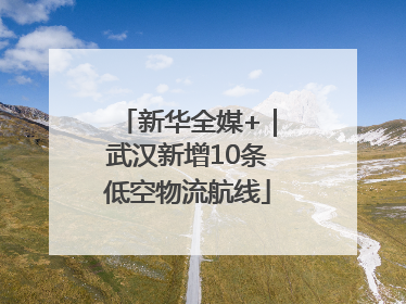 新华全媒+｜武汉新增10条低空物流航线