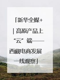 新华全媒+｜高原产品上“云”端——西藏电商发展一线观察