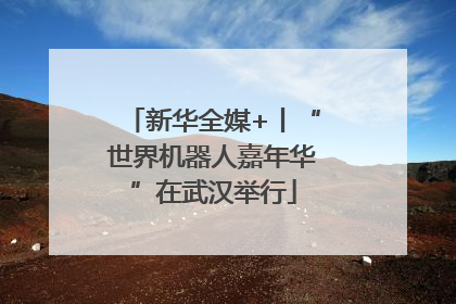 新华全媒+丨“世界机器人嘉年华”在武汉举行