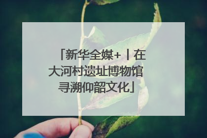 新华全媒+丨在大河村遗址博物馆寻溯仰韶文化