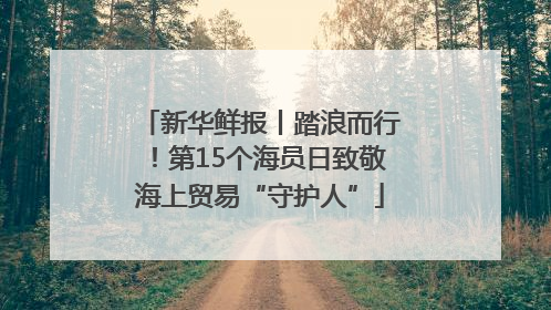 新华鲜报丨踏浪而行！第15个海员日致敬海上贸易“守护人”