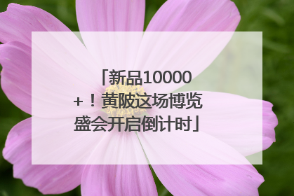 新品10000+！黄陂这场博览盛会开启倒计时