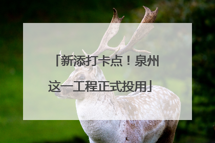 新添打卡点！泉州这一工程正式投用